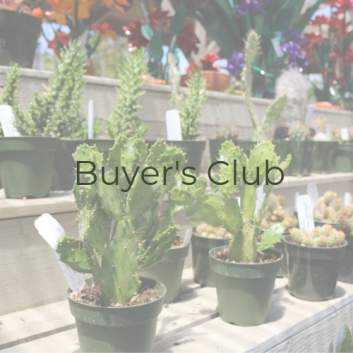 buyers-club