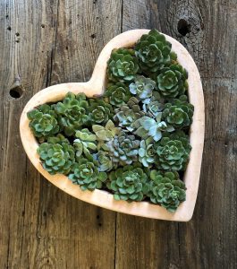 2019 CNF Workshops 2019 CNF Workshops