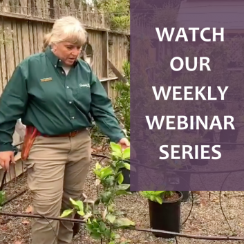 cambria nursery and florist webinars