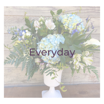 cnf_everyday