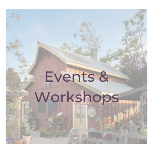 cnf_eventsworkshops