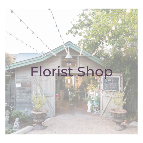 cnf_floristshop