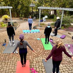 cnf_yogagraphic