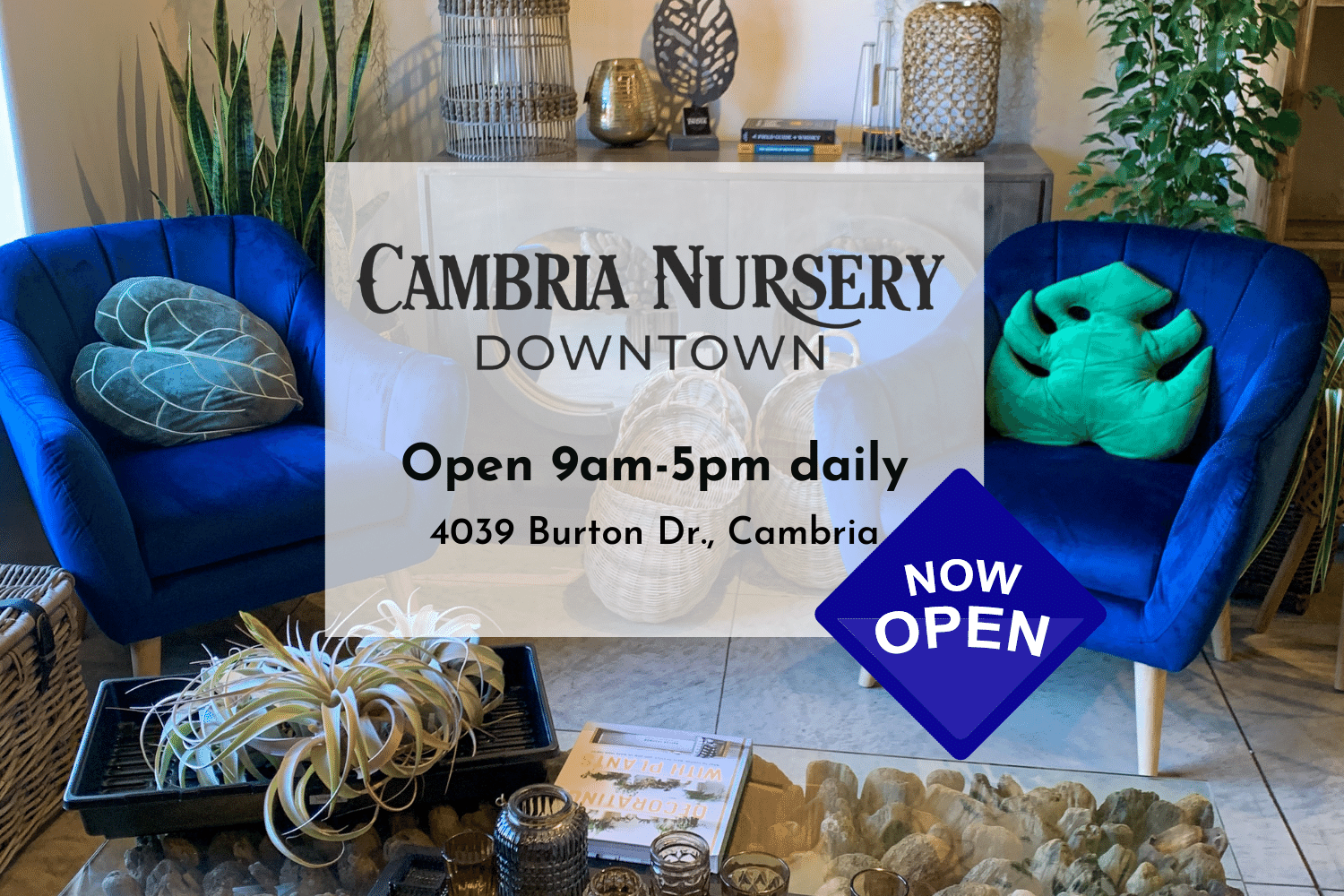 Cambria Nursery Downtown Now Open