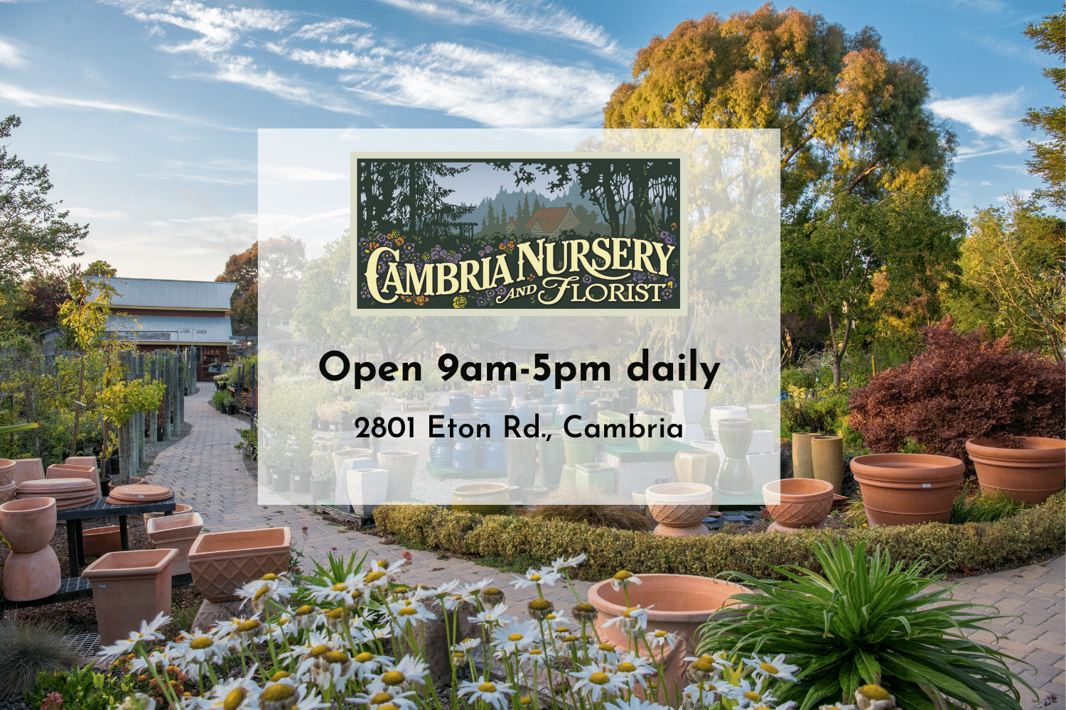 Cambria Nursery Open Daily