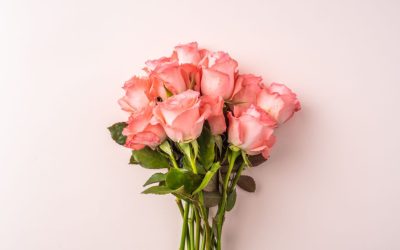 Embrace Love with Cambria Nursery’s Blooming Beauties
