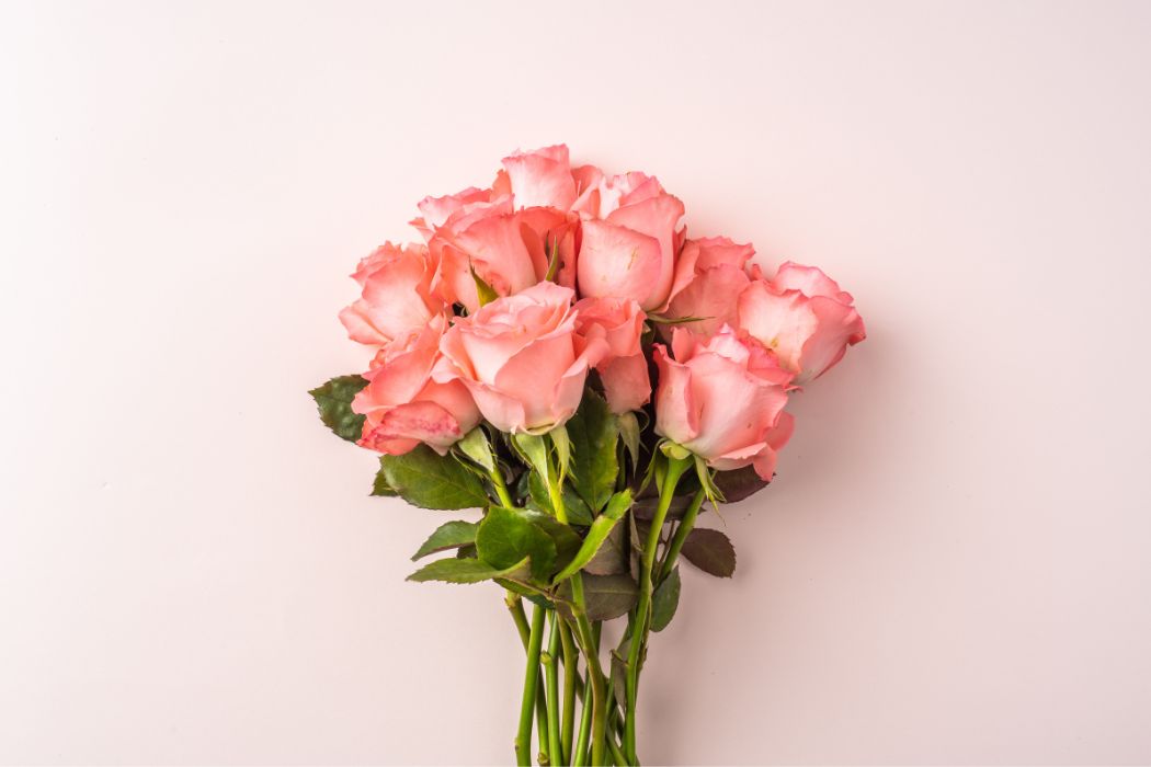 bouquet of pink and white roses