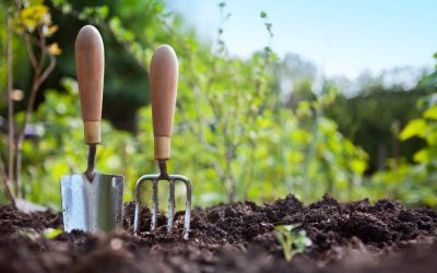 Get Ready for Exciting 2024 Events at Cambria Nursery and Florist!