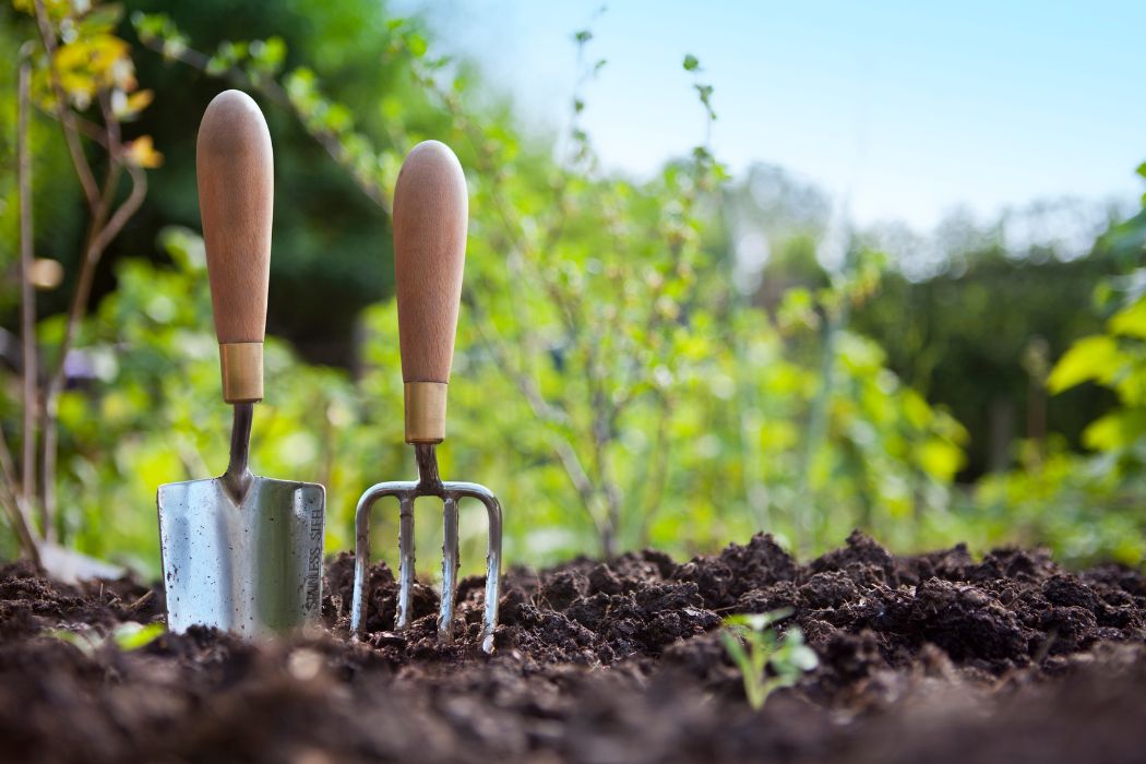 gardening tools in the soil
