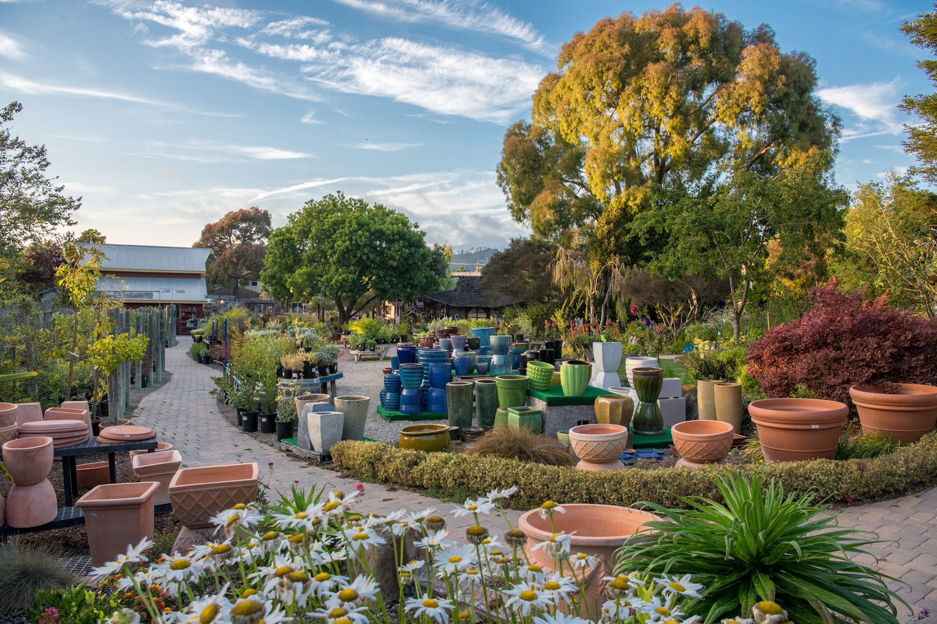 Tips & Tricks - Cambria Nursery and Florist