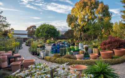 How to Make Your Outdoor Space Look Better for Summer