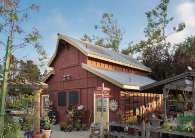 red barn at cambria nursery