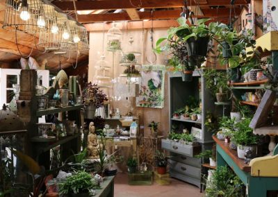 display of indoor house plants and home goods