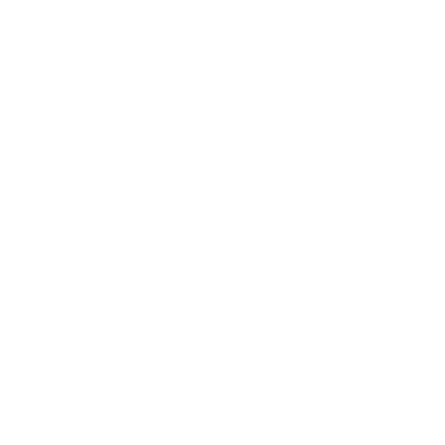 icon of a flower
