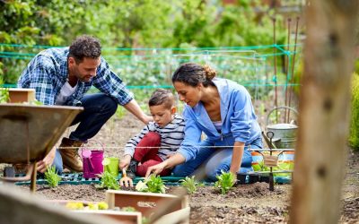 Cambria Nursery Gift Card is Perfect for Every Occasion