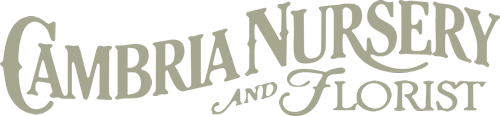 cambria nursery and florist logo in green words only