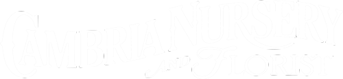 cambria nursery and florist logo in white words only