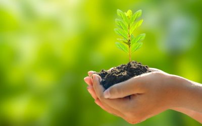 Earth Day Celebration