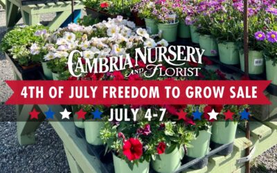 Celebrate the 4th of July with Cambria Nursery’s “Freedom to Grow” Sale!