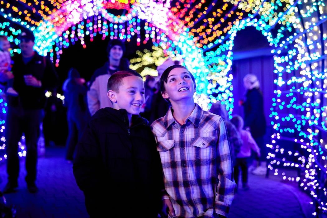 friends enjoying the light tunnel at the cambria christmas market