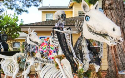 Celebrate Fall at the Annual Cambria Scarecrow Festival with Cambria Nursery!