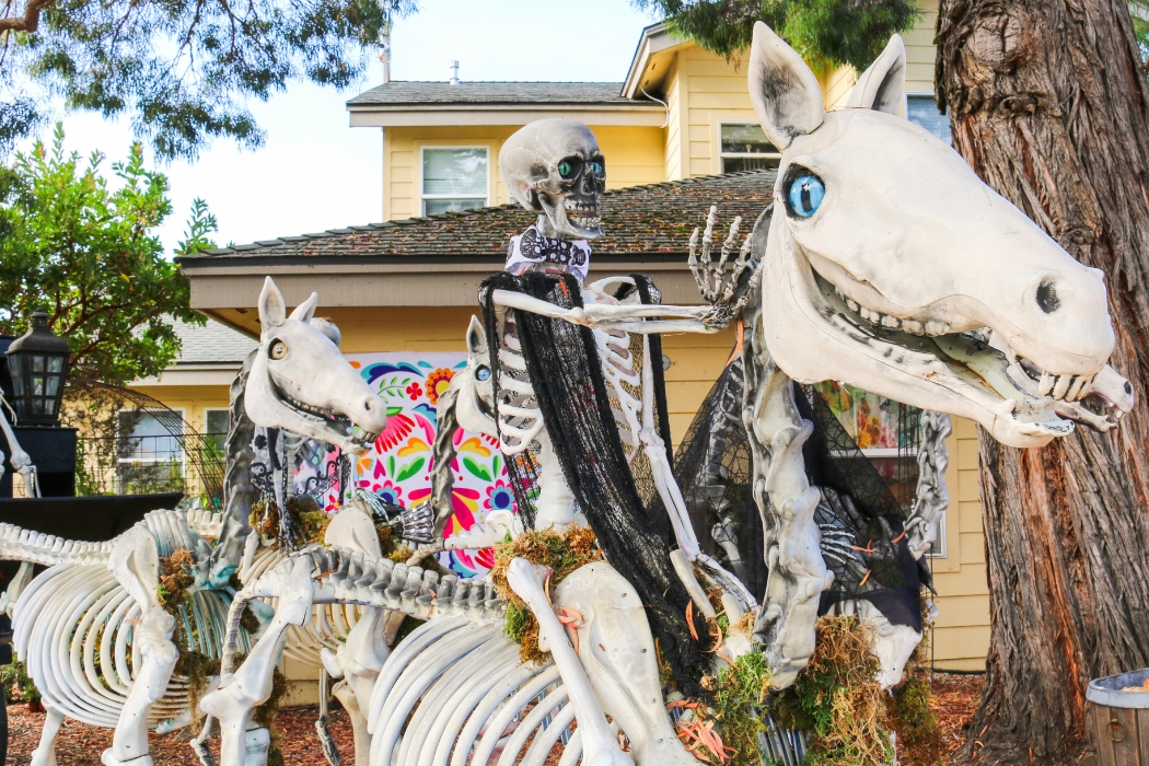 skeleton scarecrow displays in front of yellow gift shop.
