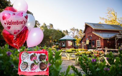 Spend a Perfect Valentine’s Day Weekend in Cambria