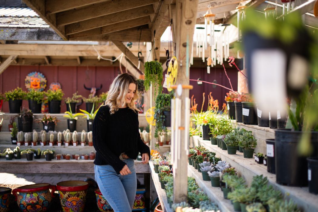 Girl looking at selection of succulent plants.