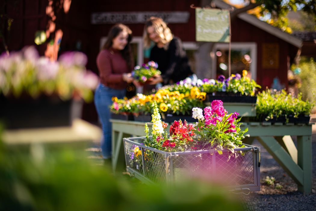 Flowers in a wagon with 2 women in the background holding flowers.