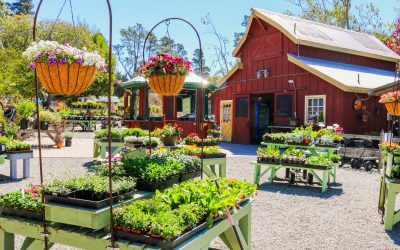 Celebrate Earth Day with a Sustainable Garden