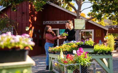 How to Refresh Your Garden for Early Spring on the Central Coast