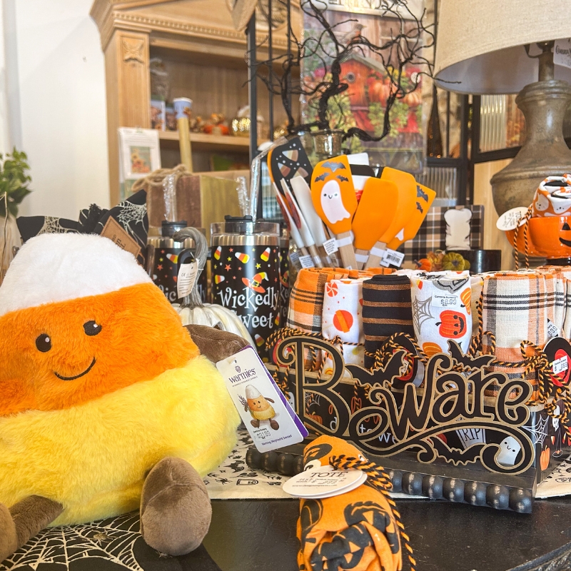 CNF Website images_800x800px (25) halloween decor in the gift shop