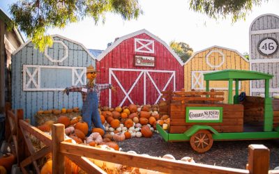 Cozy Outdoor Spaces: Simple Ways to Style Your Garden for Fall
