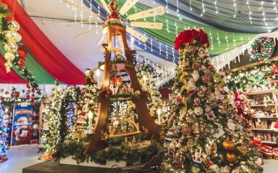 Your One‑Stop Holiday Gift Destination: Cambria Nursery’s Top Picks