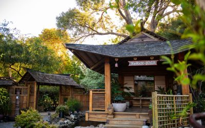 Why Cambria Nursery is the Central Coast’s Best Year-Round Day Trip