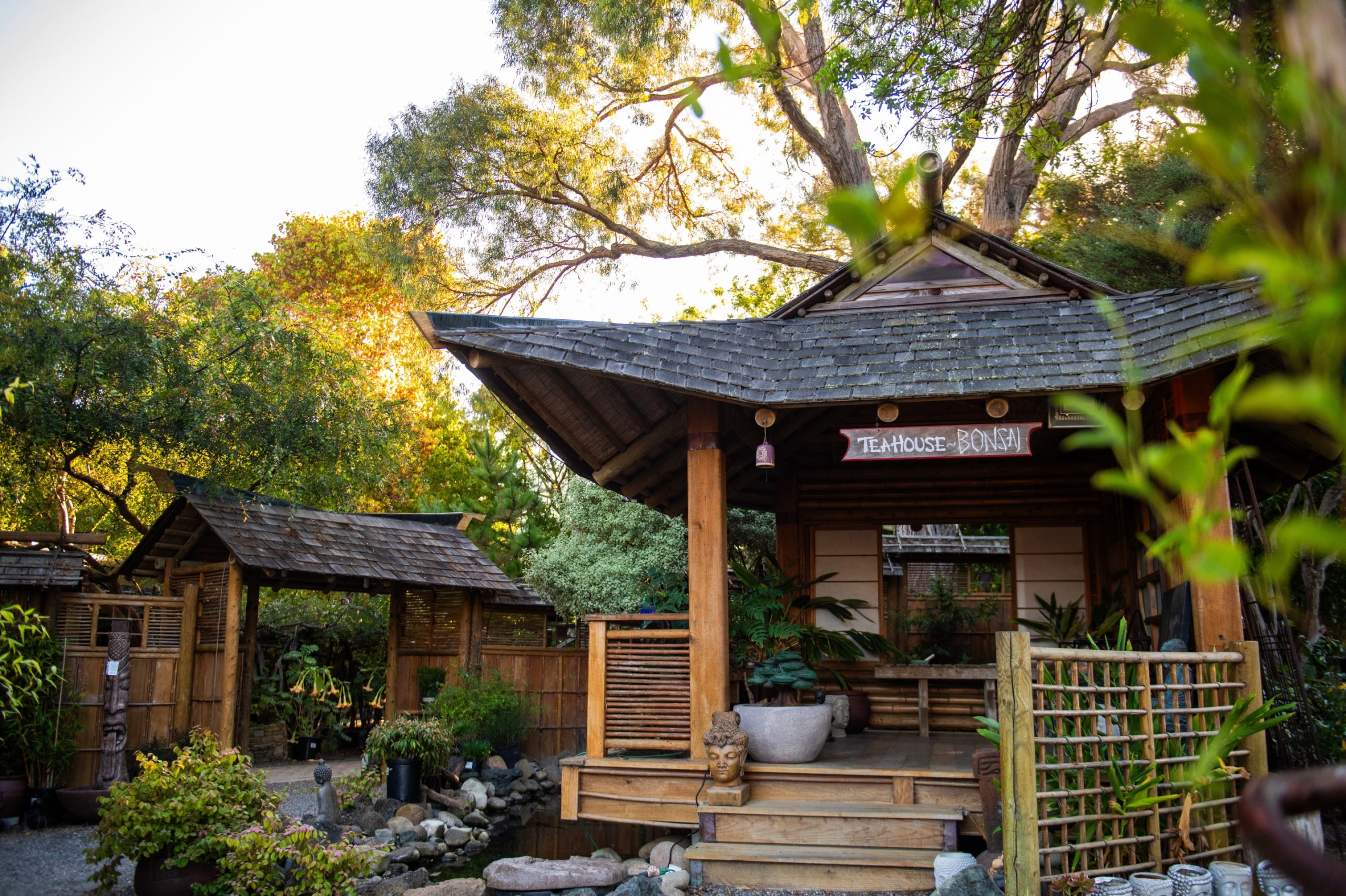 Japanese Tea House japanese tea house garden at cambria nursery