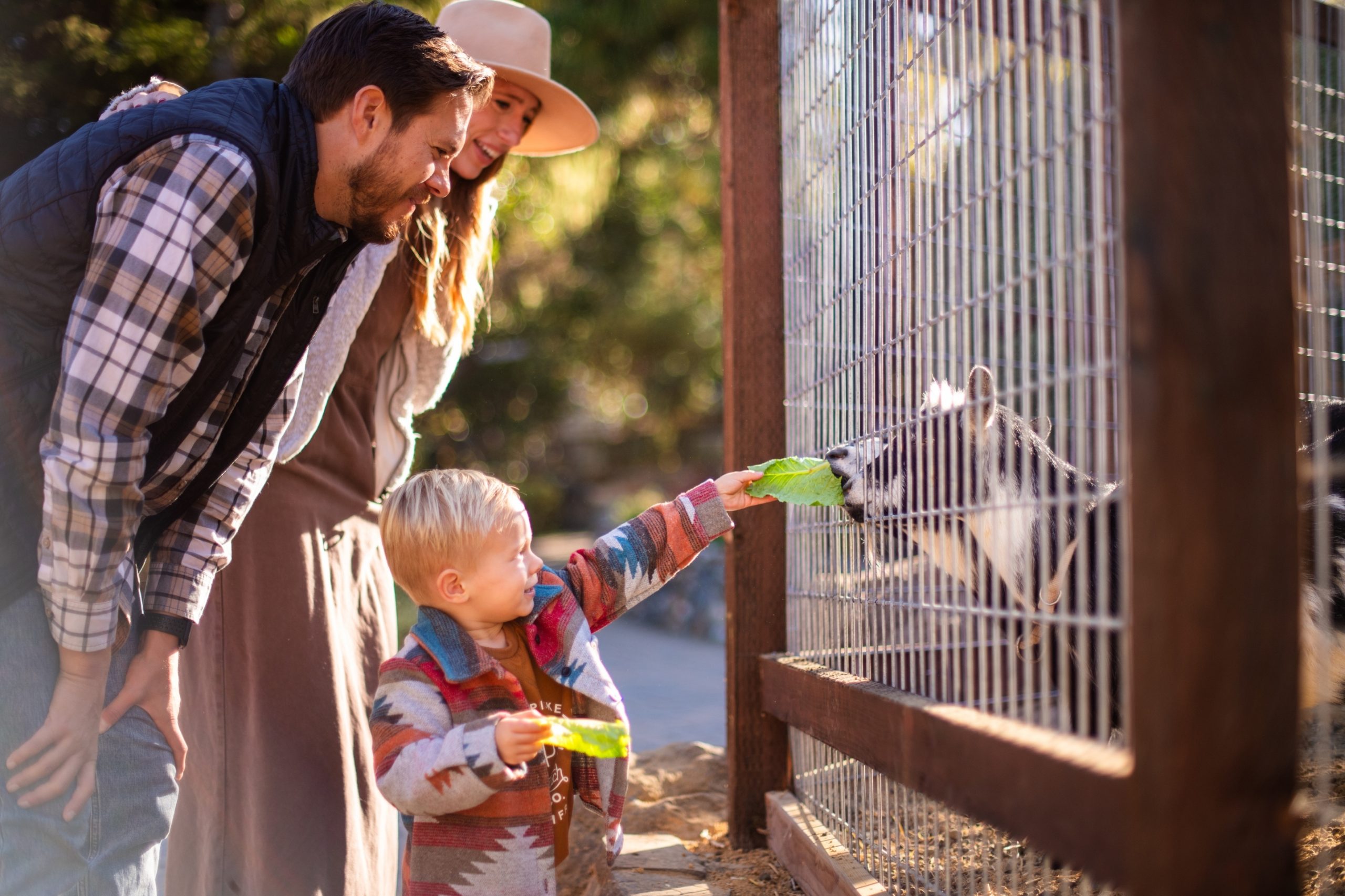 Visit Rosemary & Sage! family outing to cambria nursery with fun activities like visiting the friendly goats
