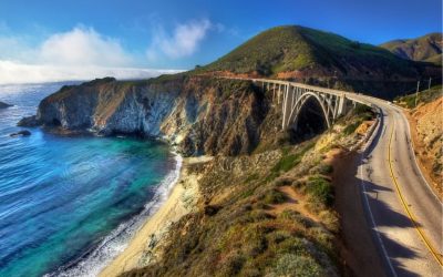Highway 1 Is Open: Make Cambria Nursery Your Can’t-Miss Coastal Road Trip Stop
