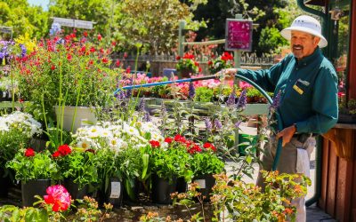 The Ultimate Beginner’s Guide to Central Coast Gardening
