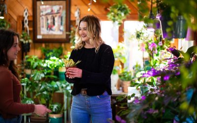Cambria Home Décor & Gifts: Year-Round Treasures at Cambria Nursery
