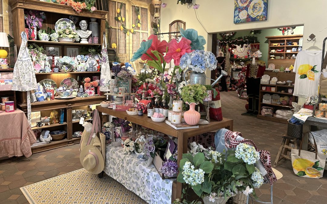 Why Cambria Nursery Is One of the Best Things to Do in Cambria, California