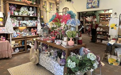 Why Cambria Nursery Is One of the Best Things to Do in Cambria, California