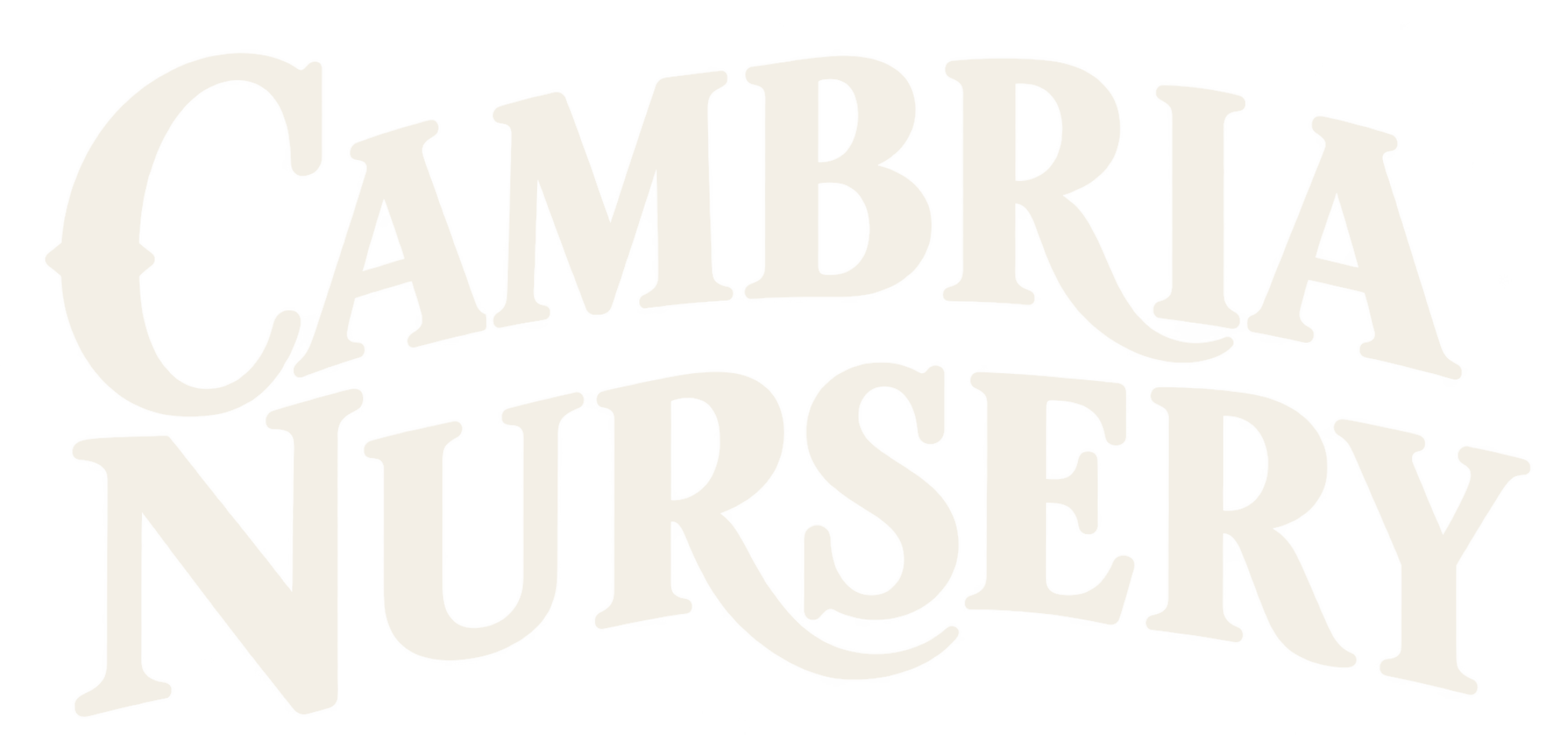 cambria nursery and florist logo in white words only