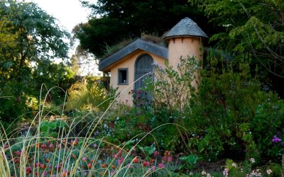 Low-Maintenance Coastal Landscaping Tips for California’s Central Coast